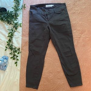 Torrid Ankle Pants